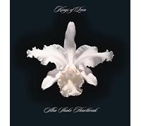 Kings of Leon Aha Shake Heartbreak (Vinyl LP)