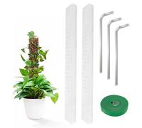 kingsea 2 confezioni da 61 cm Moss Rod Plant Stake,Plastic Plant Support,Moss Rod Trellis Moss Rod Trellis