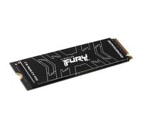 Kingston Technology 2000G FURY RENEGADE M.2 2280 NVMe SSD