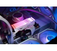 Kingston Technology FURY Beast 64 GB 6000 MT/s DDR5 CL36 DIMM (Kit da 2 moduli) White RGB EXPO