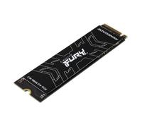 Kingston Technology 2000G FURY RENEGADE M.2 2280 NVMe SSD