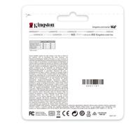 Kingston Technology DataTraveler Drive Flash USB Kyson da 256GB