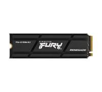 Kingston Technology 4000G RENEGADE PCIe 4.0 NVMe SSD W/ Dissipatore di calore