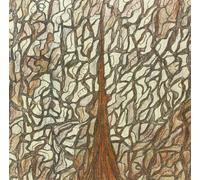 Kino III: Xaman by SKULLFLOWER (2013-08-03)