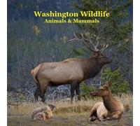 Kinsey Marie Billy G Washington State Animals and Mammals Kids Wildl (Tascabile)