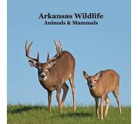 Kinsey Marie Billy Grins Arkansas Animals and Mammals Kids Wildlife (Tascabile)