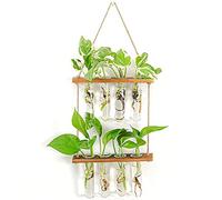 Kioball Tubi per Stazione di Propagazione in Vetro per Piante da Appendere a Parete Terrario per Fiori con Supporto in Legno Accessori per Vasi Moderni per la Casa