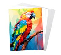 Kiperline Carta per stampante A4, 160 g/m², 50 pezzi, carta per fotocopie, formato A4, colore bianco, adatta per stampanti laser e inkjet