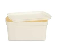 Kipit Scatola, Multicolore, Standard