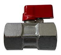 Kippen 5004A1 - Mini valvola a Sfera in Ottone. Attacco F/F da 1/2"