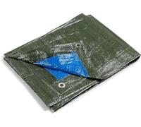 Kippen 6056CX - Telone Occhiellato Bicolore con Grammatura da 90 g/m². Taglia 4X5 (20 m²) Verde/Blu