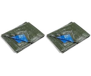 Kippen 6056CX - Telone Occhiellato Bicolore con Grammatura da 90 g/m². Taglia 4X5 (20 m²) Verde/Blu (Confezione da 2)
