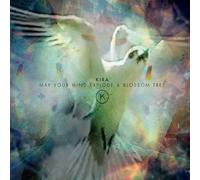 Kira Make Your Mind Explode a Blossom Tree (CD) Album