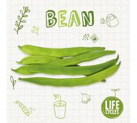 Kirsty Holmes Bean (Tascabile) Life Cycles