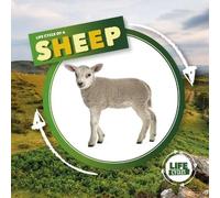 Kirsty Holmes Life Cycle of a Sheep (Copertina rigida) Life Cycle of A...