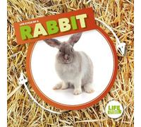 Kirsty Holmes Rabbit (Copertina rigida) Life Cycle Of A