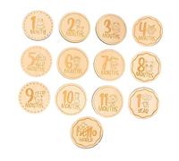 Kisangel 13pezzi Carte in Legno Per Traguardi Ragazza Stampa Animali Dischi Per Traguardi Accessori Per Foto