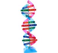 Kisangel Kit molecolare del DNA: supporto didattico scientifico - Materiale didattico per chimica e biologia - Strumento di esplorazione genetica per studenti in apprendimento