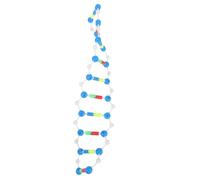 Kisangel Modellino Dna Doppia Spirale Strumento Didattico Scientifico Struttura Molecolare Kit Di Modelli Ausili Didattici Per Biologia e Laboratorio