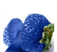 kiskick 100 Semi di Fragole Dolci Multicolori, Giardino Domestico, Fattoria, piantagione di Piante da frutto, coltiva Il Tuo Giardino di Erbe aromatiche Blu Semi di Fragola