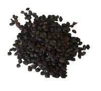 kiskick 300 Pz/borsa Lantana Camara Seme Mix a crescita rapida Colore Naturale Eccellente Produzione di semi di fiori per piantare semi di erbe da giardino per piantare e all'aperto Mescola il colo
