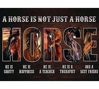 kisoyo Targa in metallo vintage con scritta "A Horse Is Not Just A Horse He Is Sanity He Is Happiness He Is A Teacher He Is A Therapist And A Best Friend", decorazione da parete per la casa, 20 x 30