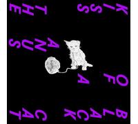 KISS THE ANUS OF A BLACK - AN INTERLUDE TO THE..