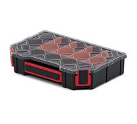 Kistenberg Tager 30 - Cassetta degli attrezzi con 4 scomparti estraibili, coperchio trasparente, 30 x 21 x 8 cm
