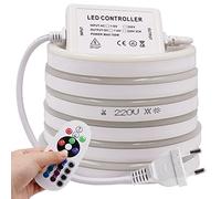 KISUFU 220V Striscia LED RGB Neon 20m,SMD 5050 60 LED/m Luce al Neon Striscia LED RGB con Telecomando a 24 tasti,Nastri LED Flessibile IP65 Multicolore Luce Striscia LED Neon per Camera da letto,Bar