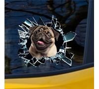 Kit 1 Adesivo Stickers in Vinile Cane Carlino Razza Canina Cinese Accessori Decalcomanie Divertenti Auto Camion pareti Computer Camper cod. 2376 (Vetro, cm 27x24)