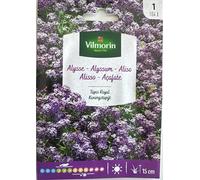 kit 10 bustine ALISSO TAPIS ROYAL VLI 1 104I