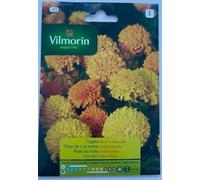 Kit 10 bustine Semi TAGETE NANO IN MISCUGLIO 193