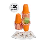 Kit 100 Bicchieri, Palette e Zucchero per Degustazione Caffè