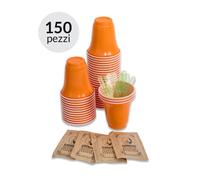 Kit 150 Bicchieri, Palette e Zucchero di Canna per Degustazione Caffè