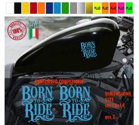 Kit 2 adesivi serbatoio BORN TO RIDE harley chopper style vari colori cod. 1787