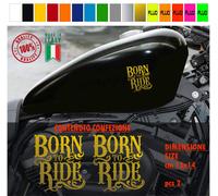 Kit 2 adesivi serbatoio BORN TO RIDE harley chopper style vari colori cod. 1787