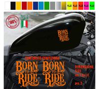 Kit 2 adesivi serbatoio BORN TO RIDE harley chopper style vari colori cod. 1787