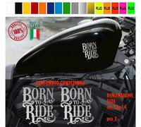 Kit 2 adesivi serbatoio BORN TO RIDE harley chopper style vari colori cod. 1787