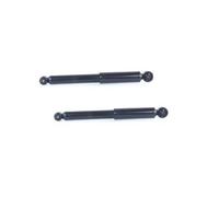 Kit 2 ammortizzatori Ashika Posteriore per FIAT PANDA NATURAL POWER