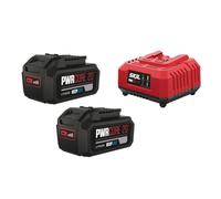 Kit 2 batterie 20V 4.0Ah + caricabatterie standard 20V 2.4A SKIL 3112 BA