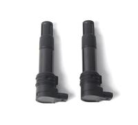 Kit 2 Bobine di Accensione per BMW R1200C 2003-2005 Independent 2004 Montauk 2003-2005, R1200CL 2002-2005, R1200GS ADVENTURE 2006-2009, 12-13-7-707-549 Ricambi e Accessori per Motociclette