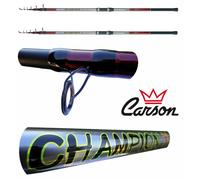 kit 2 canne champion 150g pesca surfcasting mare spiaggia fondo surf casting