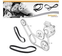 KIT 2 CINGHIA SERVIZI POLI-V ELASTICA FORD FIESTA C-MAX 1.25 1.4 1.6 BENZINA