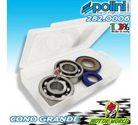 Kit Cuscinetti Revisione Albero Motore Polini Ape Vespa 50/125 HP PK Cono 20mm