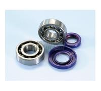 Kit 2 cuscinetti e 2 paraoli POLINI Albero motore Vespa 125 ET3 Primavera cono 2