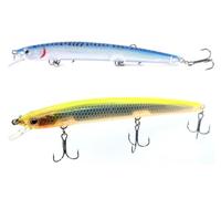 Kit 2 Long Jerk Spinning Spigola Serra Barracuda Pesca Mare Esca Artificiale