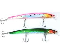Kit 2 Long Jerk Spinning Spigola Serra Barracuda Pesca Mare Esca Artificiale bc