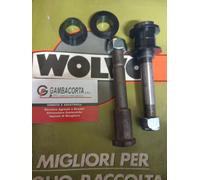 Kit 2 Perno Biella Infaldatore + 4 Boccole + 4 Dado Wolagri 221065 Fort 010367
