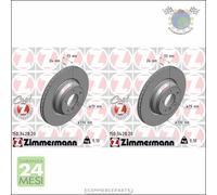 Kit 2x dischi freno Zimmermann COAT Z Anteriore per BMW X1 E84 xDrive 3 E93 330