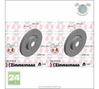 Kit 2x dischi freno Zimmermann COAT Z Anteriore per FORD TRANSIT TOURNEO FOCUS K